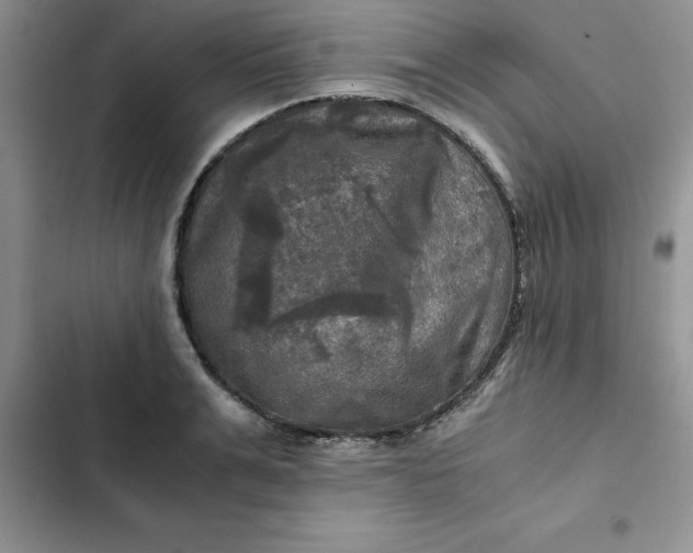 X0000102520991200808221837