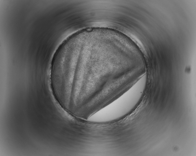 X0000102520992200808221837