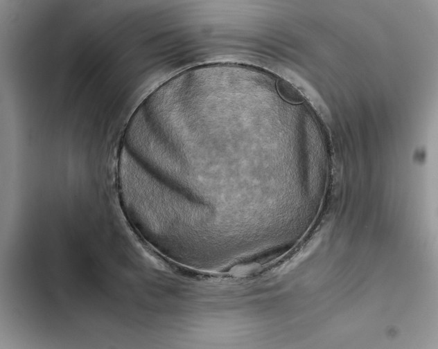 X0000102520993200808221837