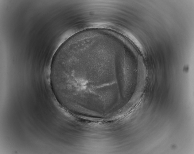 X0000102520994200808221837