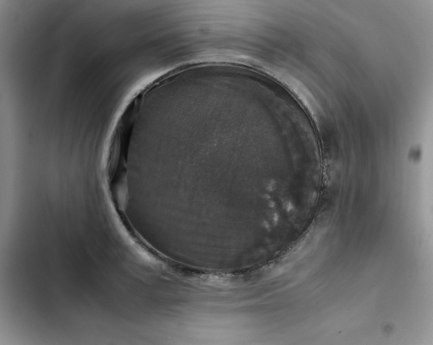 X0000102520995200808221837