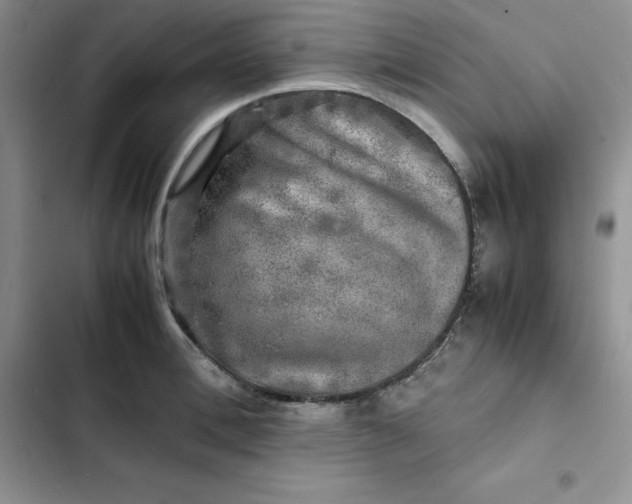 X0000102520996200808221837