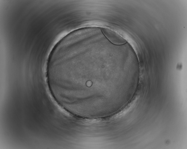 X0000102520997200808221837