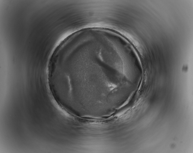 X0000102520998200808221837