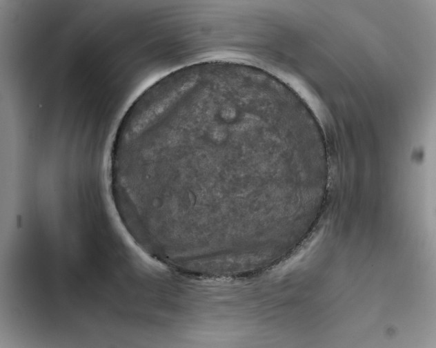 X0000102520999200808221837