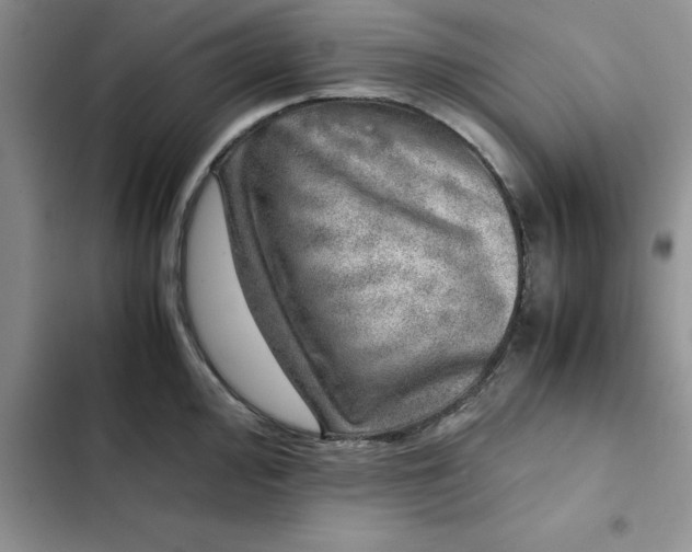 X0000102521000200808221837