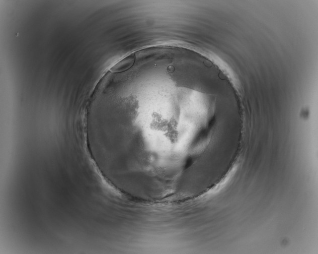 X0000102521001200808221837