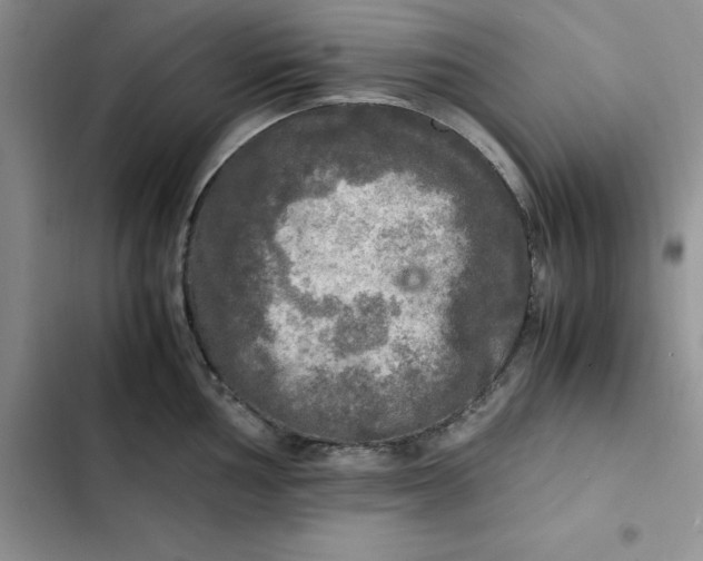 X0000102521002200808221837