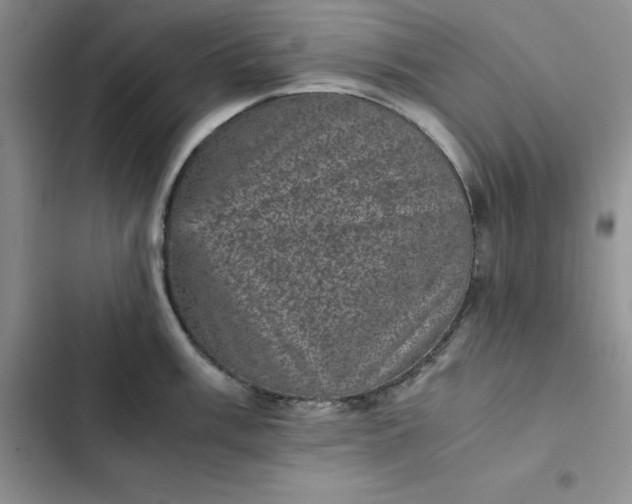 X0000102521003200808221837