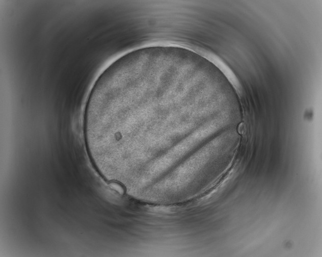 X0000102521004200808221837