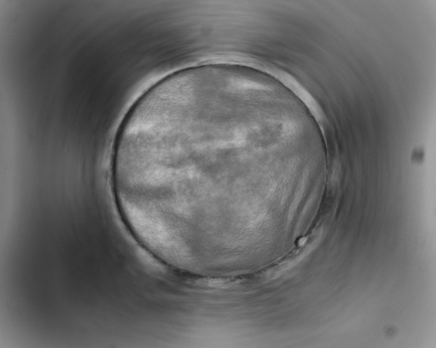 X0000102521005200808221837