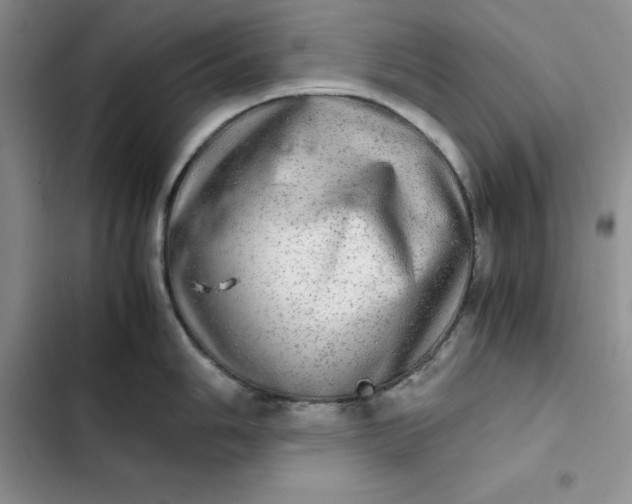 X0000102521006200808221837