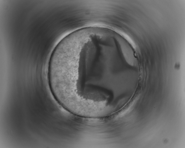 X0000102521007200808221837