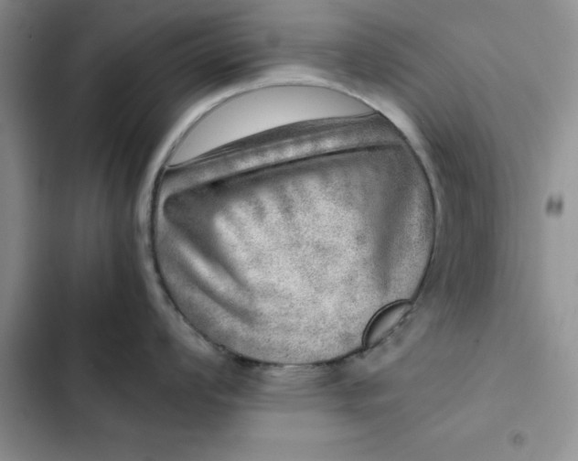 X0000102521008200808221837