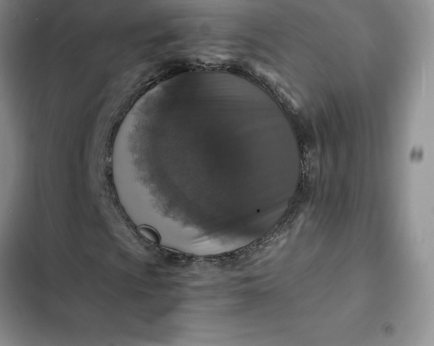 X0000102521009200808221836