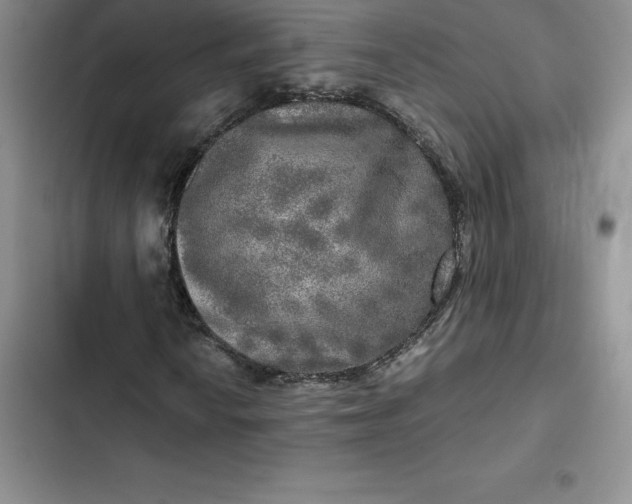 X0000102521010200808221836