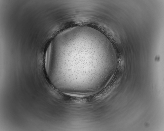 X0000102521012200808221836