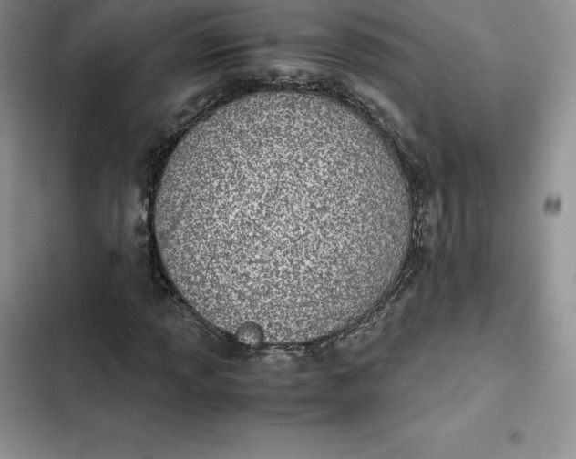 X0000102521013200808221836