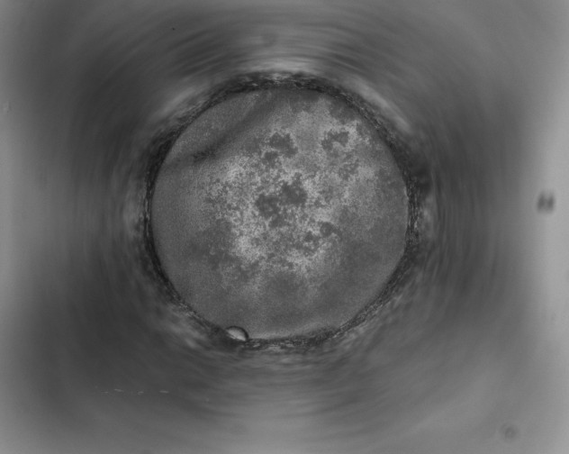 X0000102521014200808221836