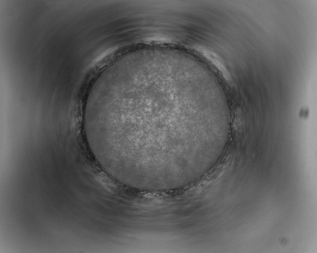 X0000102521015200808221836