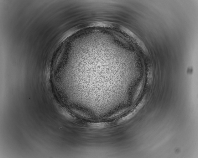 X0000102521017200808221837