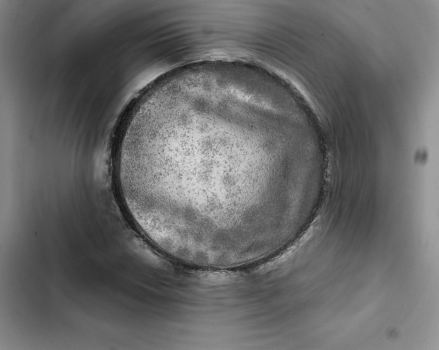 X0000102521018200808221837