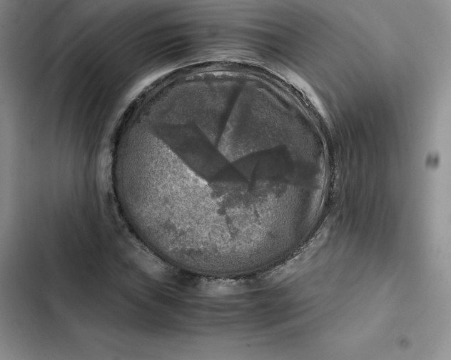 X0000102521019200808221837