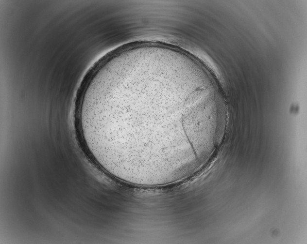 X0000102521020200808221837