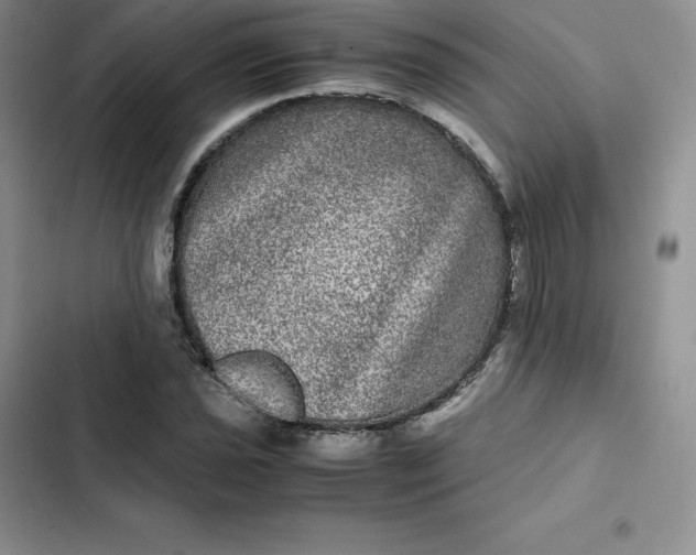 X0000102521021200808221837