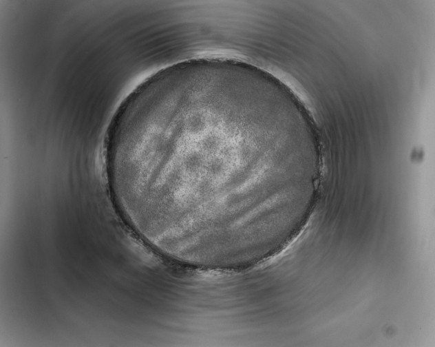 X0000102521022200808221837