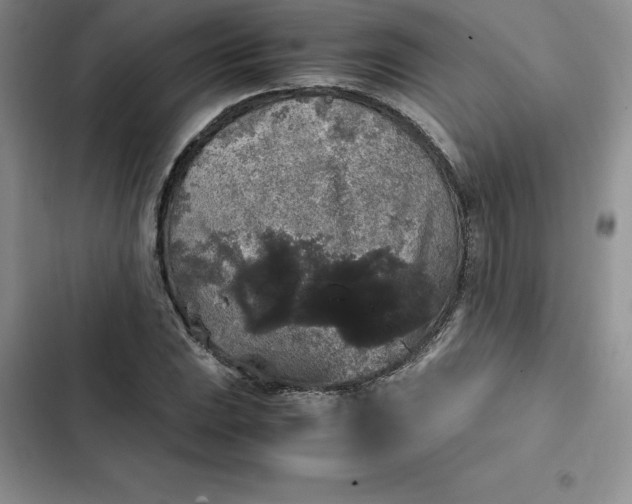 X0000102521023200808221837