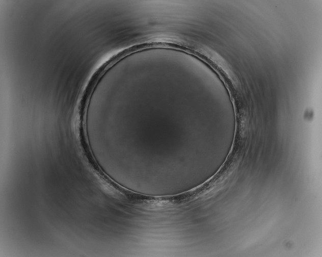 X0000102521024200808221837