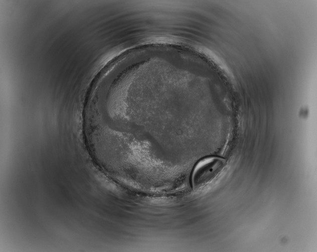 X0000102521025200808221837