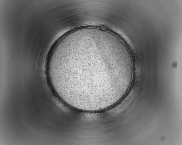 X0000102521026200808221837