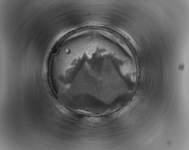 X0000102521027200808221837