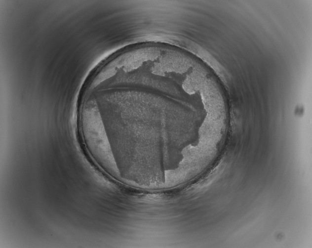 X0000102521028200808221837