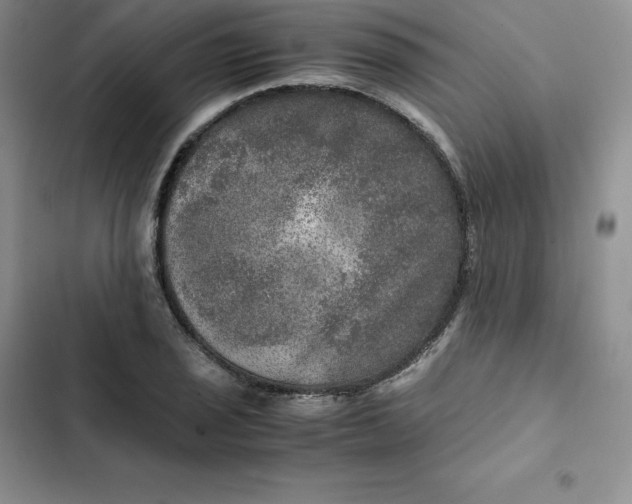 X0000102521029200808221837