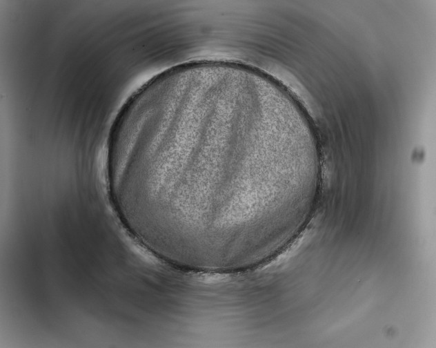 X0000102521030200808221837