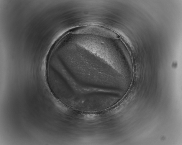 X0000102521031200808221837