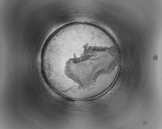 X0000102521032200808221837