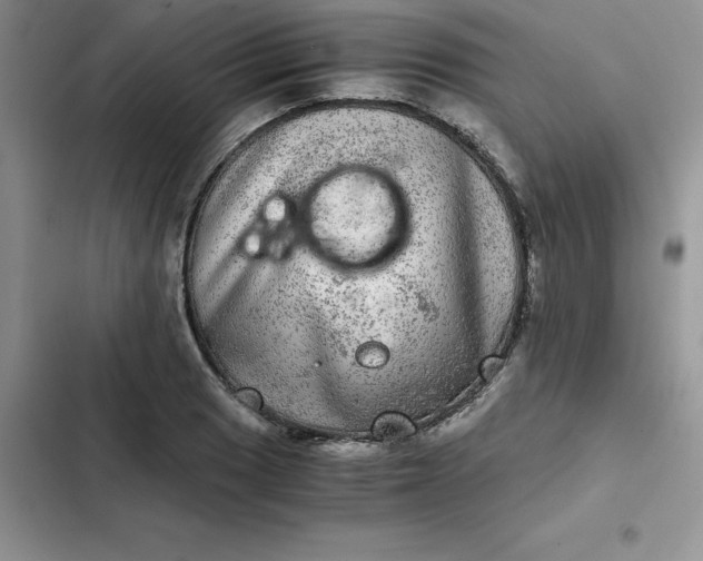 X0000102521033200808221837