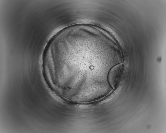 X0000102521034200808221837