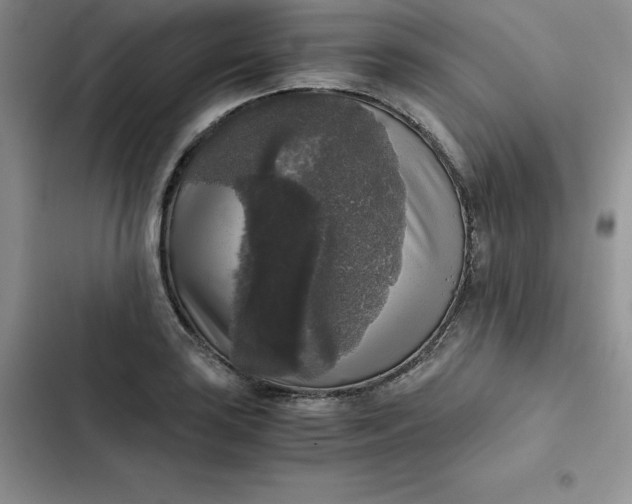 X0000102521035200808221837