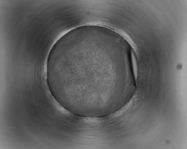 X0000102521036200808221837