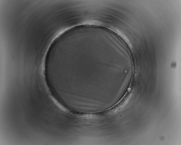 X0000102521037200808221837