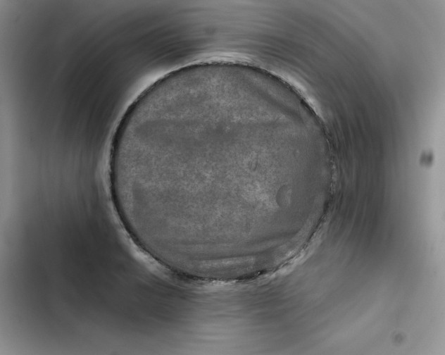 X0000102521038200808221837