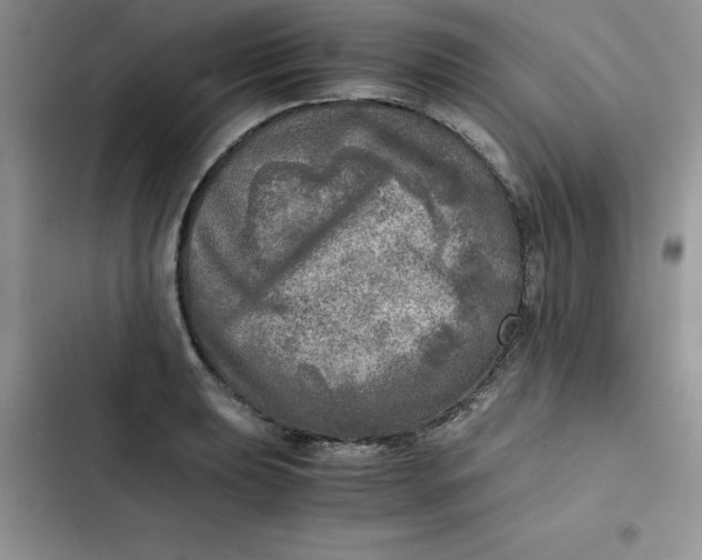 X0000102521039200808221837