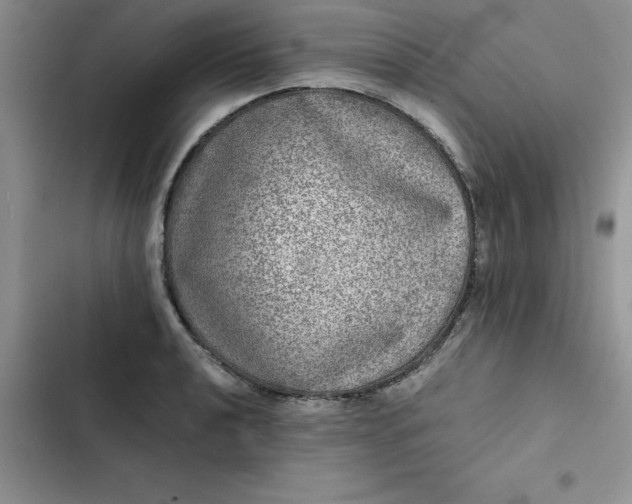 X0000102521040200808221837