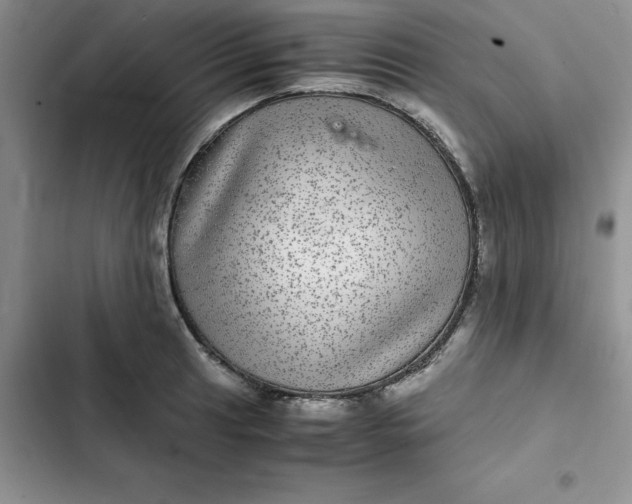 X0000102521041200808221837