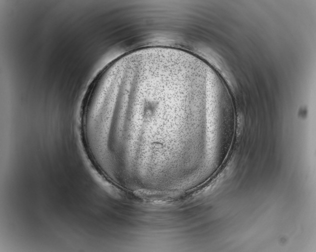 X0000102521042200808221837